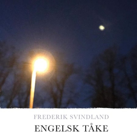 Engelsk tåke (lydbok) av Frederik Svindland