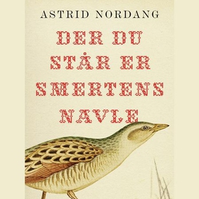 Der du står er smertens navle (lydbok) av Ast