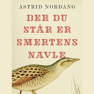 Der du står er smertens navle (lydbok) av Ast