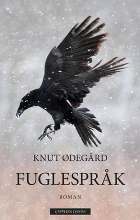 Fuglespråk (ebok) av Knut Ødegård