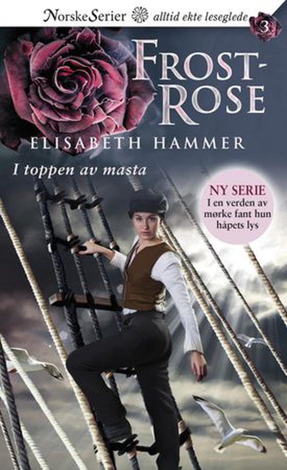 I toppen av masta (ebok) av Elisabeth Hammer