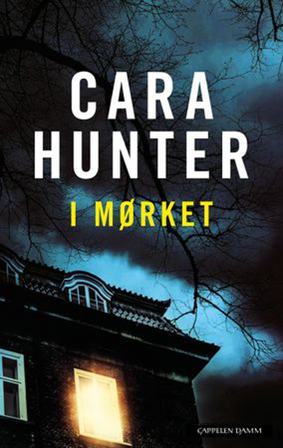 I mørket (ebok) av Cara Hunter
