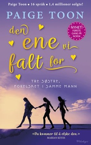Den ene vi falt for (ebok) av Paige Toon