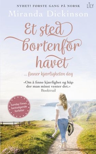 Et sted bortenfor havet (ebok) av Miranda Dic
