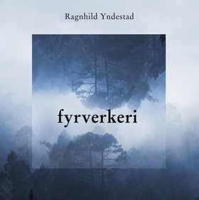 Fyrverkeri (lydbok) av Ragnhild Yndestad