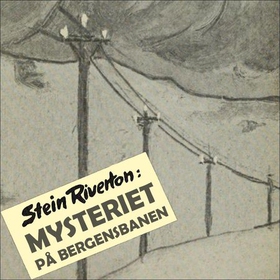 Mysteriet på Bergensbanen (lydbok) av Stein R