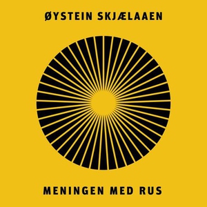 Meningen med rus (lydbok) av Øystein Skjælaae