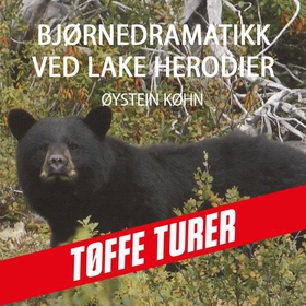 Bjørnedramatikk ved Lake Herodier