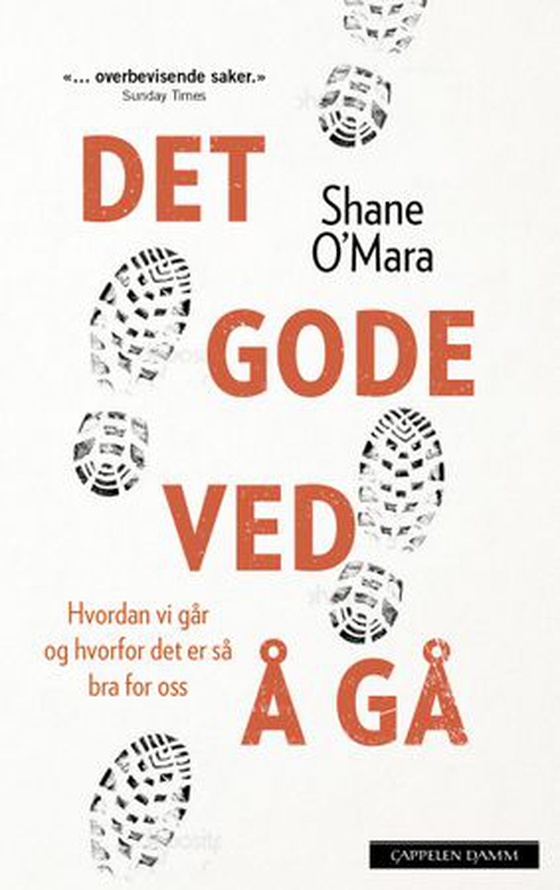Det gode ved å gå - hvordan vi går og hvorfor det er så bra for oss (ebok) av Shane O'Mara