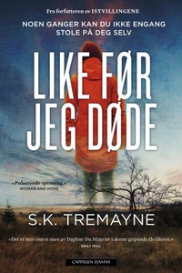 Like før jeg døde (ebok) av Tore Aurstad, S.K