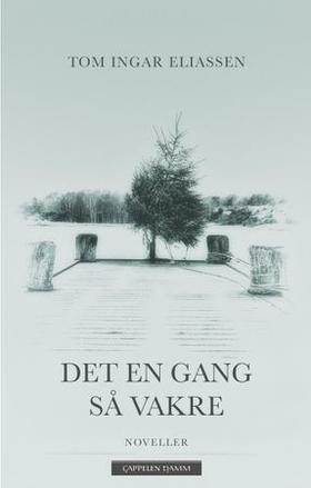 Det en gang så vakre (ebok) av Tom Ingar Elia