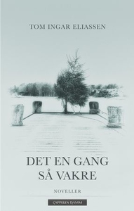 Det en gang så vakre (ebok) av Tom Ingar Elia