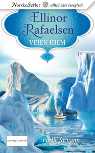 Farlig farvann (ebok) av Ellinor Rafaelsen