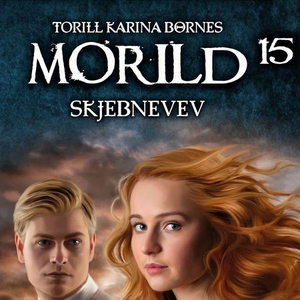 Skjebnevev (lydbok) av Torill Karina Børnes