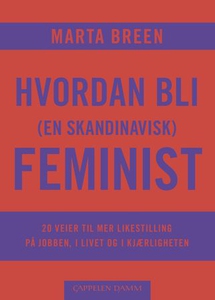 Hvordan bli (en skandinavisk) feminist (ebok)