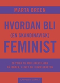 Hvordan bli (en skandinavisk) feminist