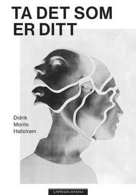 Ta det som er ditt - roman (ebok) av Didrik Morits Hallstrøm