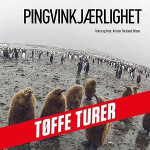 Pingvinkjærlighet (lydbok) av Kristin Folslan