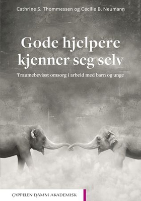 Gode hjelpere kjenner seg selv