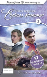Mellom lys og mørke (ebok) av Ellinor Rafaels