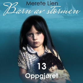 Oppgjøret (lydbok) av Merete Lien