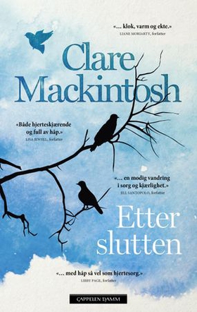 Etter slutten (ebok) av Clare Mackintosh