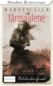Falchenberghuset (ebok) av Merete Lien