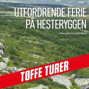 Utfordrende ferie på hesteryggen (lydbok) av