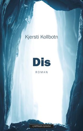 Dis - roman (ebok) av Kjersti Kollbotn