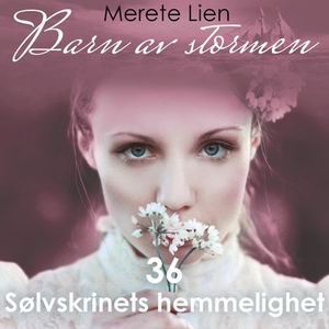 Sølvskrinets hemmelighet (lydbok) av Merete L