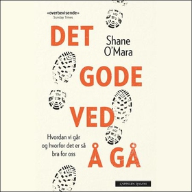 Det gode ved å gå - hvordan vi går og hvorfor det er så bra for oss (lydbok) av Shane O'Mara