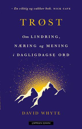 Trøst (ebok) av David Whyte