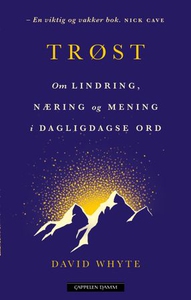 Trøst (ebok) av David Whyte