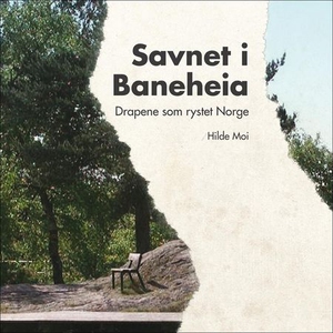 Savnet i Baneheia (lydbok) av Hilde Moi Østbø