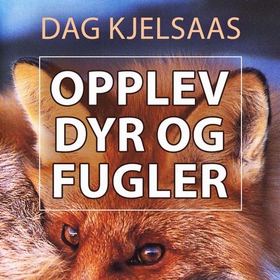 Opplev dyr og fugler (lydbok) av Dag Kjelsaas