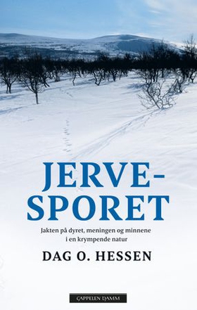 Jervesporet