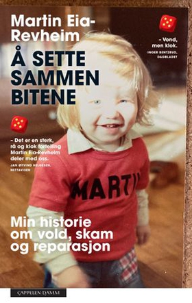 Å sette sammen bitene (ebok) av Martin Eia-Re