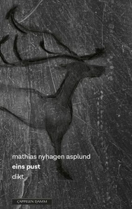 eins pust (ebok) av Mathias Nyhagen Asplund
