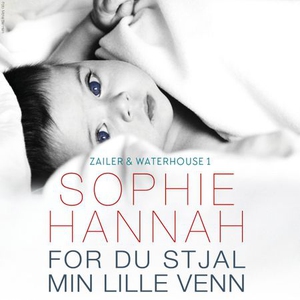 For du stjal min lille venn (lydbok) av Sophi