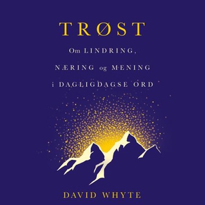 Trøst (lydbok) av David Whyte
