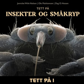 Tett på insekter og småkryp