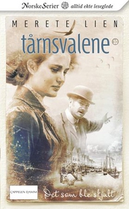 Det som ble skjult (ebok) av Merete Lien