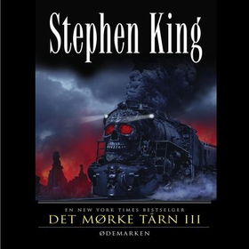 Det mørke tårn III - Ødemarken (lydbok) av Stephen King