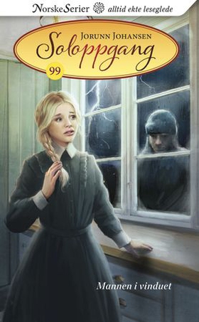 Mannen i vinduet (ebok) av Jorunn Johansen