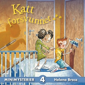 Katt forsvunnet