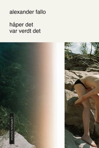 Håper det var verdt det (ebok) av Alexander F