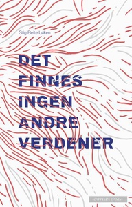 Det finnes ingen andre verdener (ebok) av Sti