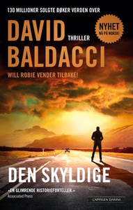Den skyldige (ebok) av David Baldacci