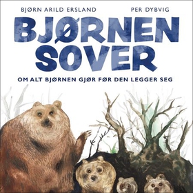 Bjørnen sover