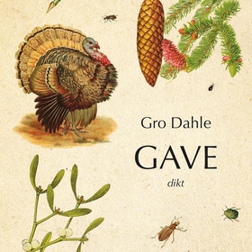 Gave - dikt (lydbok) av Gro Dahle